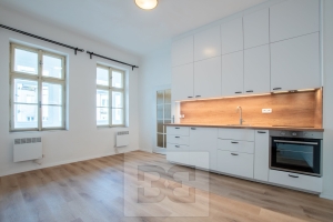 Rent flats 1+KT 25 m², Praha - Podolí