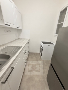 Rent flats 2+1 55 m², Praha - Podolí