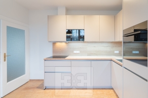 Rent flats 3+1 120 m², Praha - Libeň