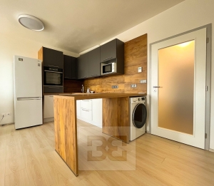 Pronájem krásného bytu 1+kk 33 m², Plzeň - Jižní Předměstí
