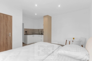 Rent flats 1+KT 23 m², Velké Hamry