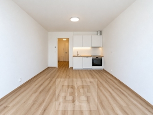 Rent flats 1+KT 35 m², Brno - Zábrdovice