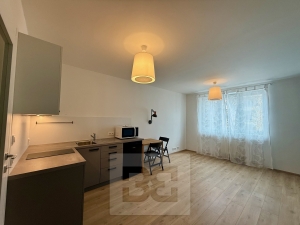 Apartment for rent 1+kk  25 m², Praha - Strašnice