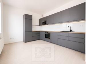 Pronájem bytu 3+kk 90 m², Brno - Ponava