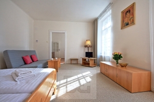 Spacious and sunny apartment a few steps from the National Theatre