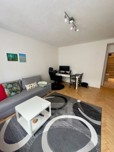 Apartment for rent 2+1, 57 m², Plzeňská, Prague - Košíře
