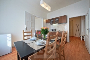Spacious and sunny apartment a few steps from the National Theatre