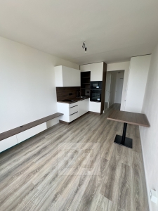 1+kk apartment for rent - gym, party room