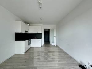 Beautiful new apartment 1+kk - Královo pole