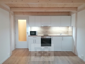 Pronájem bytu 1+kk 30 m², Ostrava - Přívoz