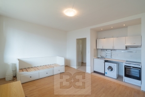 Rent flats 1+KT 26 m², Praha - Troja