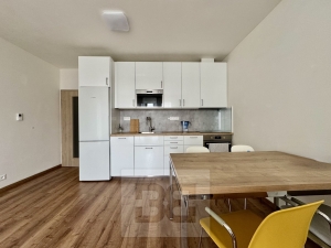 Pronájem bytu 2+kk 55 m², Brno - Sadová