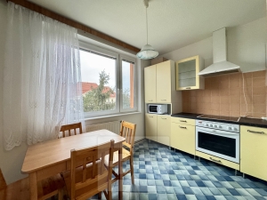 Pronájem bytu 1+1 35 m², Hrušovany nad Jevišovkou