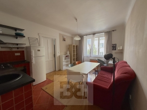 Pronájem bytu 2+kk 47 m², Praha - Žižkov