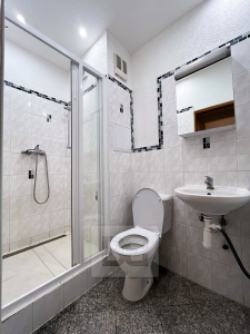 Pronájem bytu 2+1 60 m², Plzeň - Slovany/Lobzy