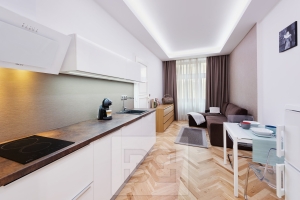 1+1 apt in Prague 10 – Vinohrady, Rybálkova Street