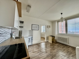 Apartment 1+1 on Herčíkova st.