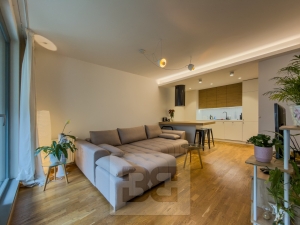 Beautiful single-bedroom flat 2+kk 53 m²