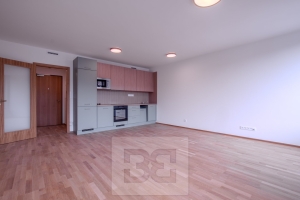 Modern 1-Bedroom Apartment (42 m²) in Smíchov