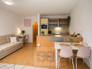 Pronájem bytu 2+kk 45 m², Brno - Židenice
