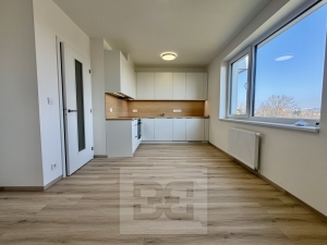 Pronájem bytu 1+kk 37 m², Brno - Horní Heršpice