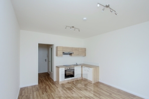 Nice, cozy 1bedroom studio flat in Novovysočanská,