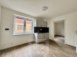 Pronájem ½ kapacity ordinace, 50 m² - Střelice