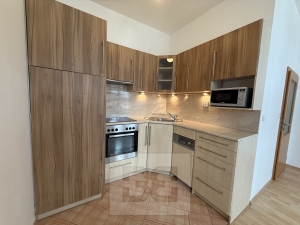 Pronájem bytu 2+kk 44 m², Praha - Holešovice
