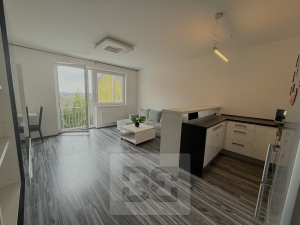 Apartment for rent 2+Kk 52 m², Jinočany