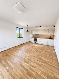 Apartment for rent 2+kk 55 m², Kladno