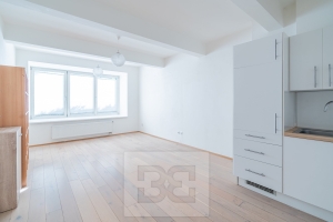 Apartment for rent 1+kk, U Sladovny