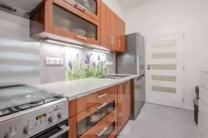 Rent flats 2+KT 44 m², Praha - Nusle