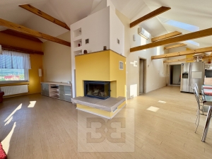 Rent flats 4+KT, 195 m² - Velké Opatovice