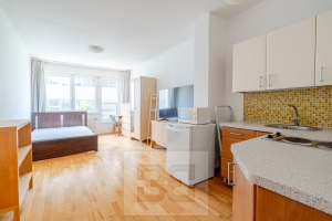 Pronájem bytu 1+kk 30 m², Praha - Michle
