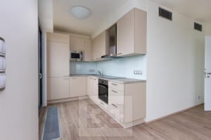 Apartment for rent  2+Kk 66 m², Praha - Žižkov