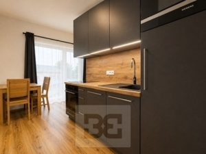 Pronájem bytu 1+kk 30 m², Brno - Královo Pole