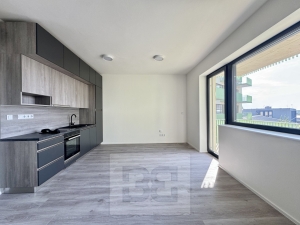Pronájem byty 1+kk, 35 m² - Znojmo