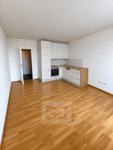 Apartment for rent 1+kk 30 m², Kladno