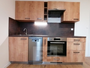 Rent flats 1+KT 26 m², Ostrava - Přívoz