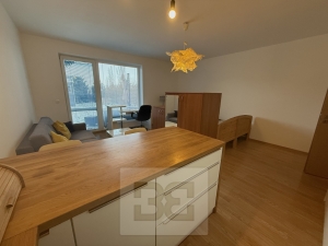 Pronájem bytu se zahradou  1+kk 38 m², Hostivice