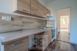 Pronájem bytu 3+1 78 m², Chomutov