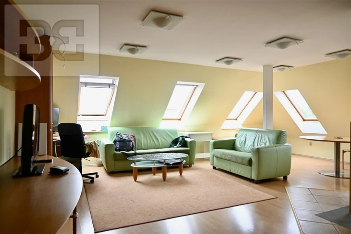 Sublease of duplex apartment 4 + kk in Kr. Pole, beautiful apartment, park view