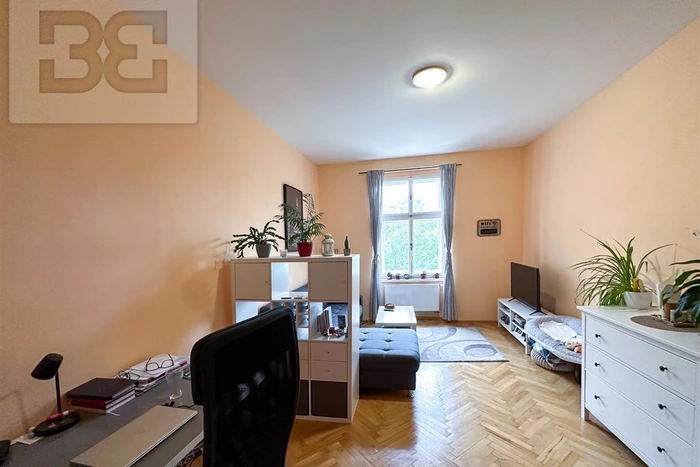 Prostorný byt 2+1 62 m² naproti VŠE