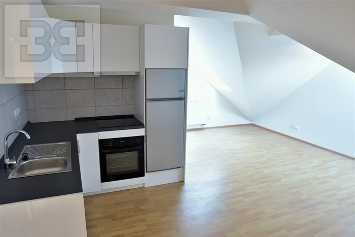 New renovated 1-bedroom flat in Hostavice