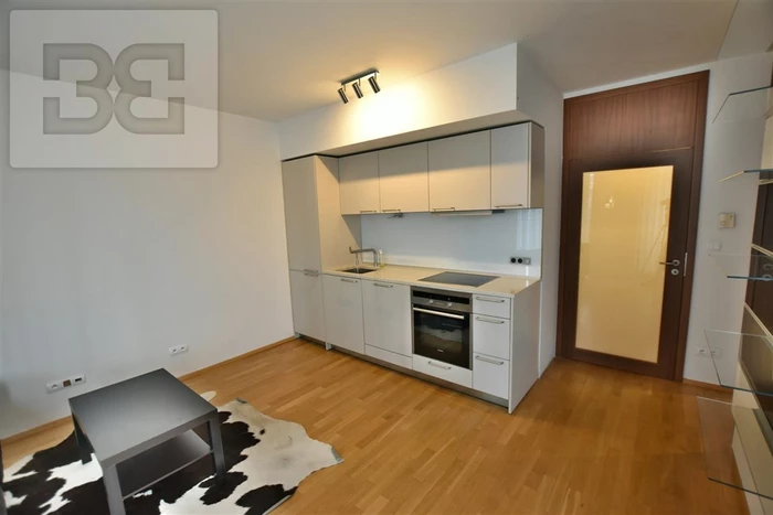 Beautiful studio apartment in the project Central park, Prague 3 - street Pitterova